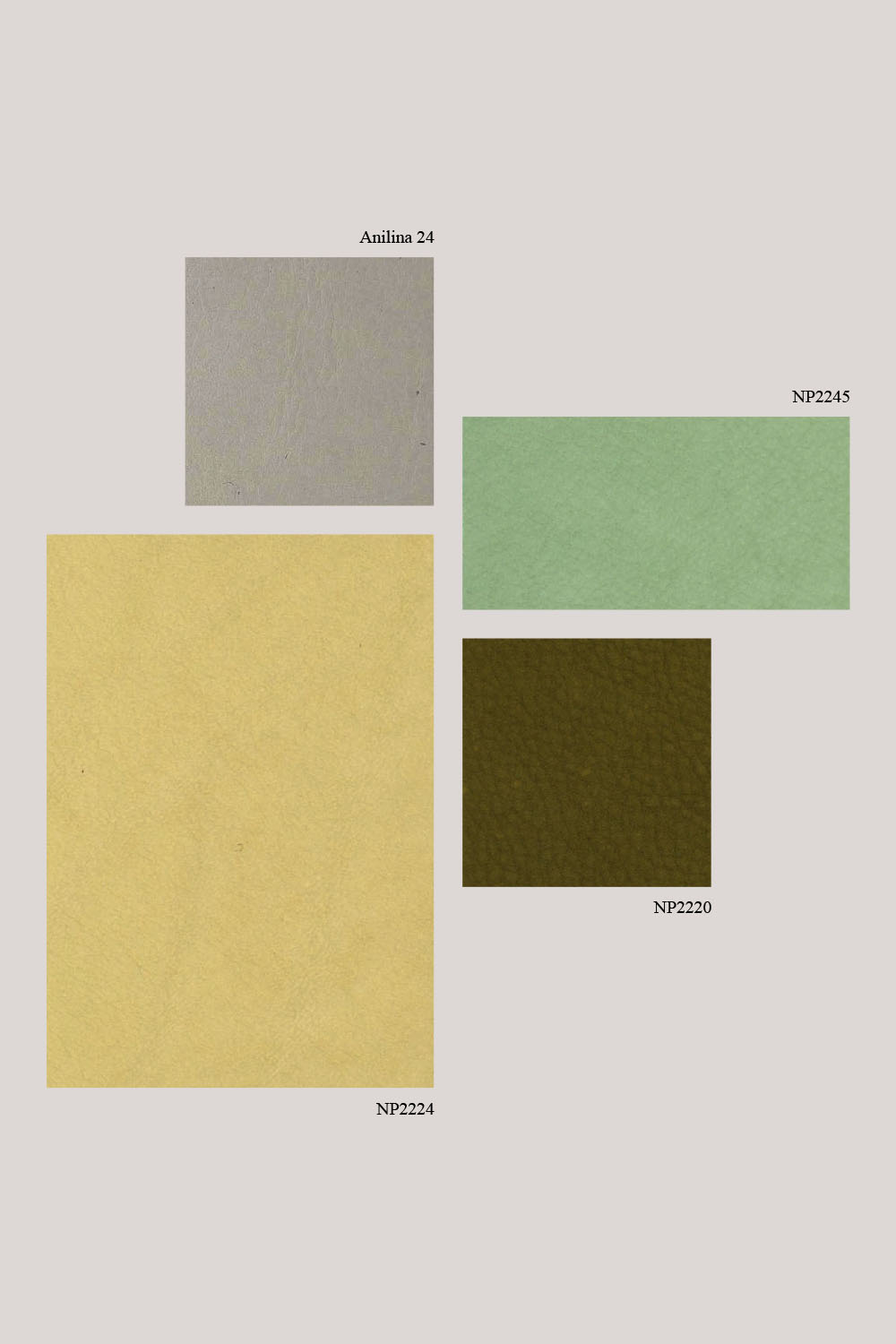 Home Rugiano Gallery