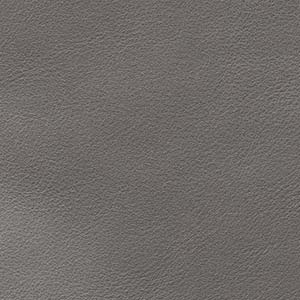 Anilina Glossy - AL 1D Platino