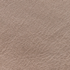 Anilina Cashmere - 08 Oasi