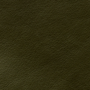 Aniline Glossy - AL 1H Oliva
