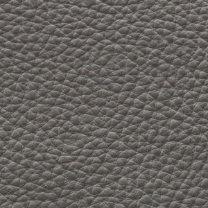 Pelle Liscia - S5028