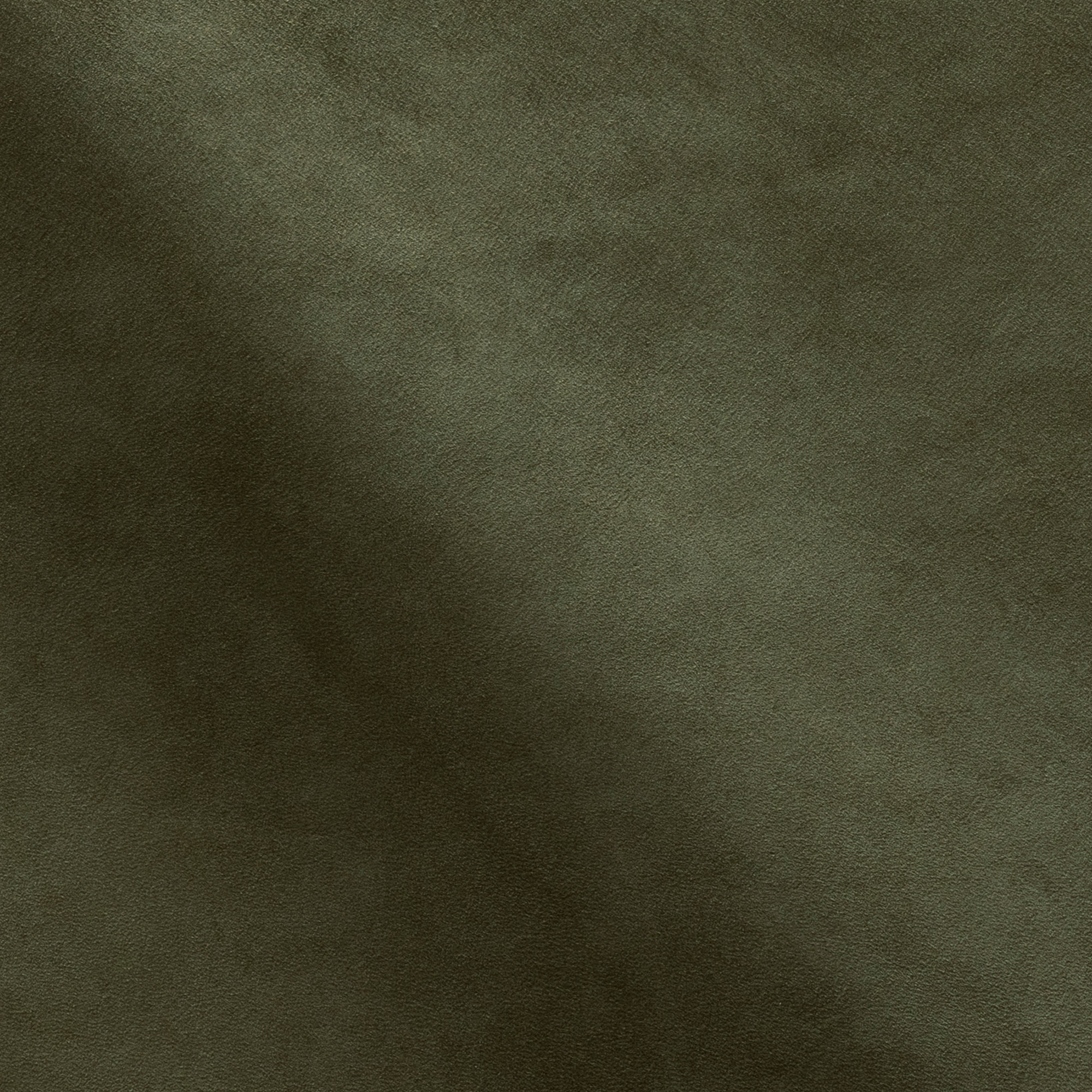 NP42