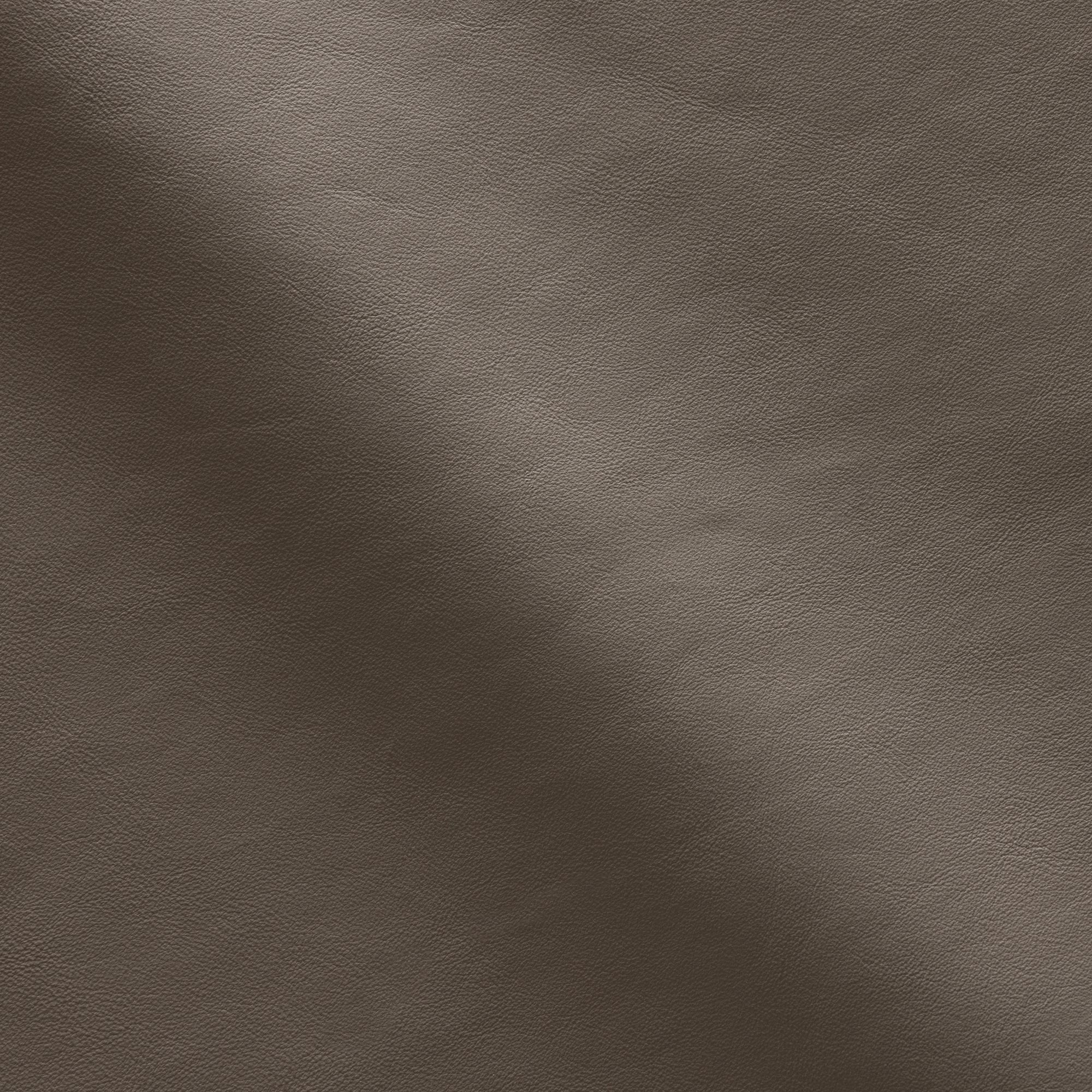 NU207