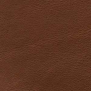 Anilina Glossy - AL 309 Noce
