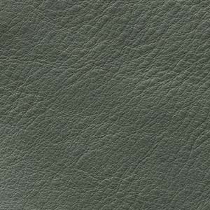 Anilina Glossy - AL 728 Persiano