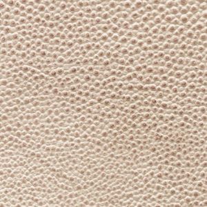 Printed Leather - GAL13