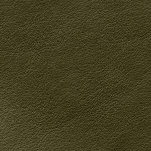 Anilina Glossy - AL 1H Oliva