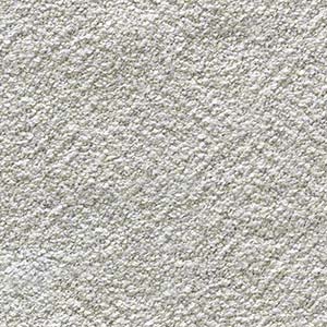 66461 - 66 Champagne