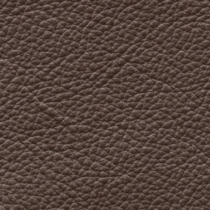 Pelle Liscia - S5006