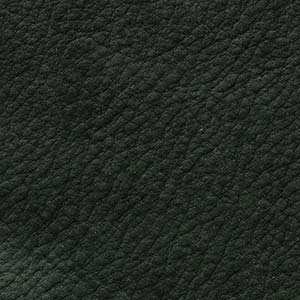 Anilina Cashmere - 11 Verde