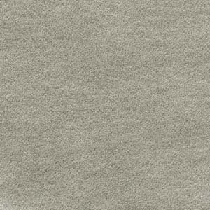 Alpaca - 1107