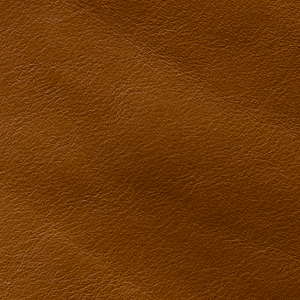 Aniline Glossy - AL 1A Ocra