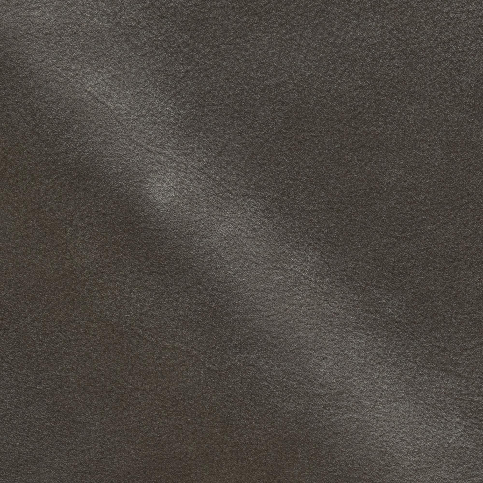 NP2460