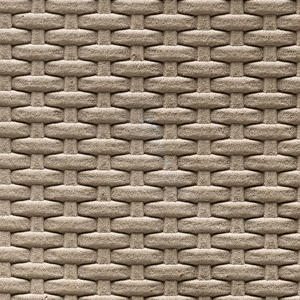 Printed Leather - NT16