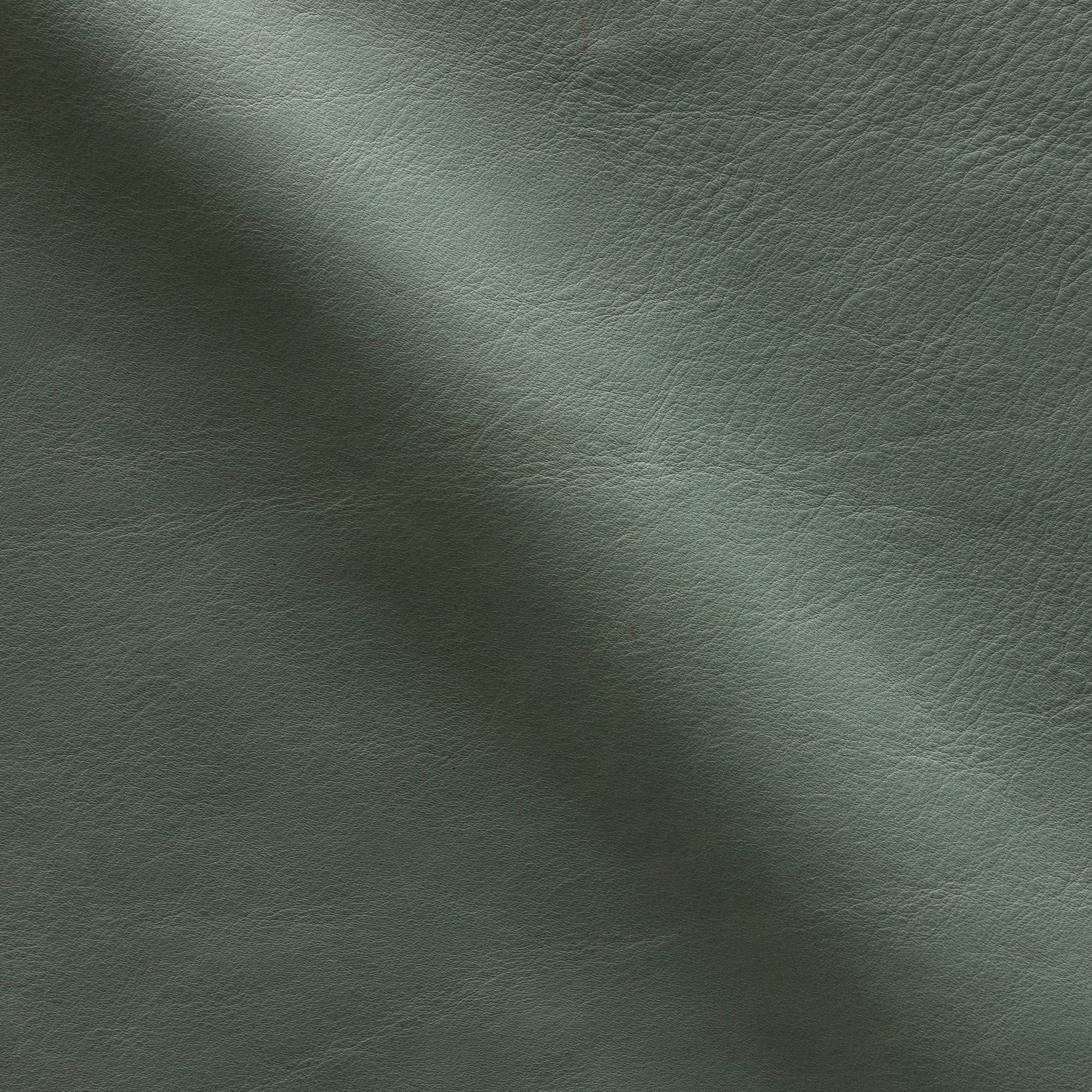 AL_72_8_VERDE_SALVIA