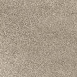Anilina Glossy - AL 102 Lino