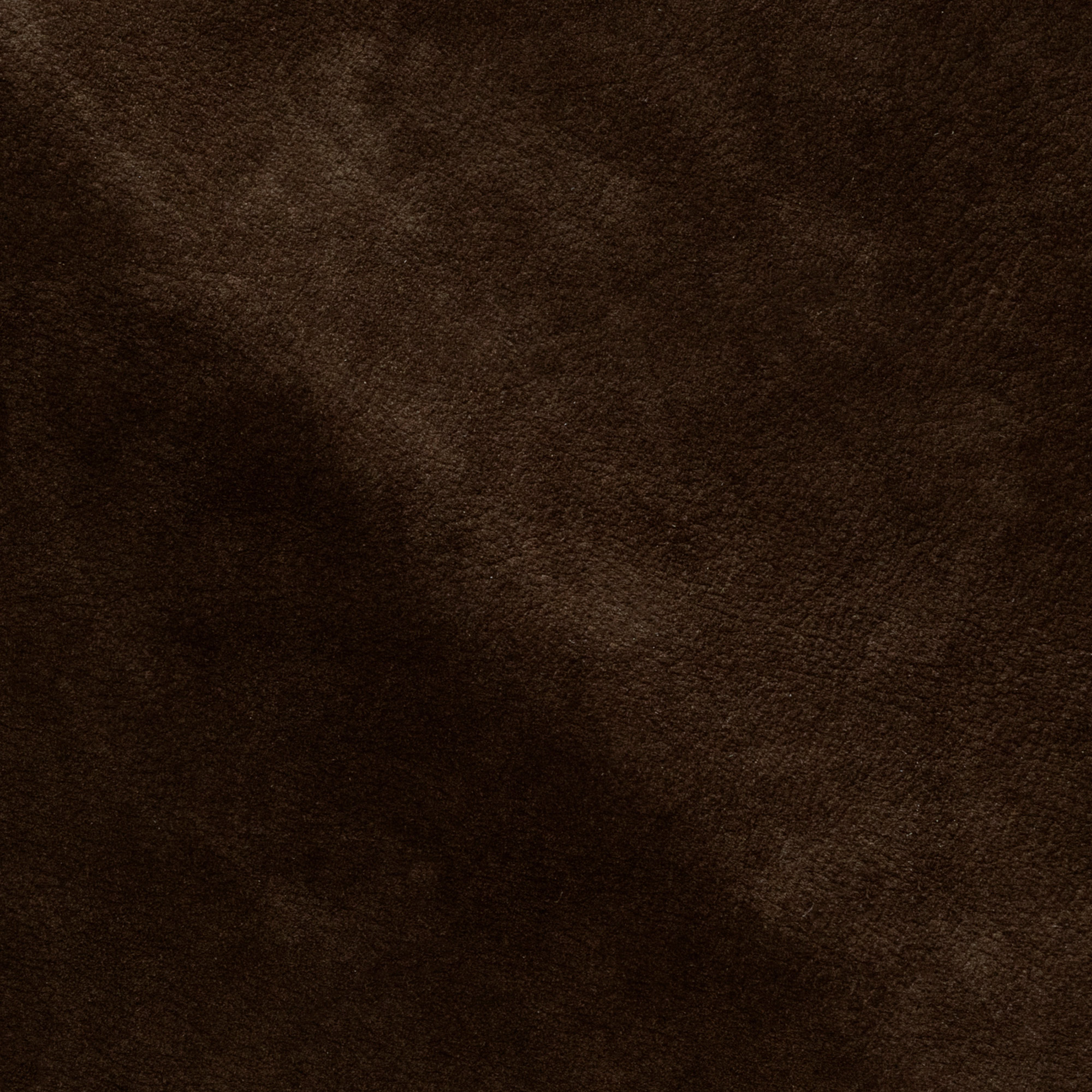 NP08