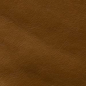 Anilina Glossy - AL 1A Ocra