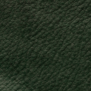 Anilina Cashmere - 11 Verde