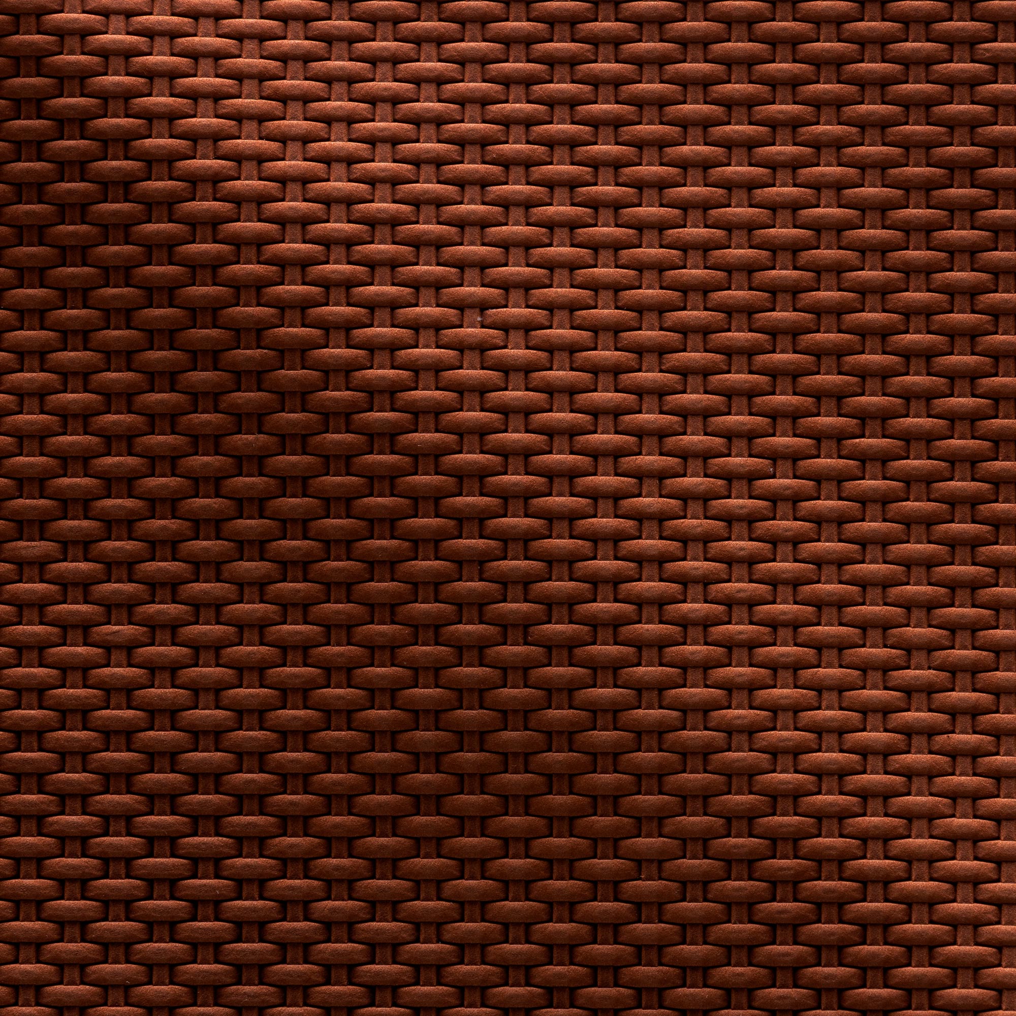 NT14