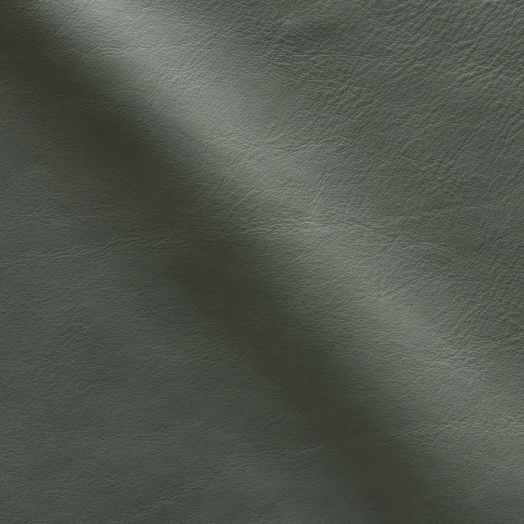 AL_72_8_VERDE_SALVIA