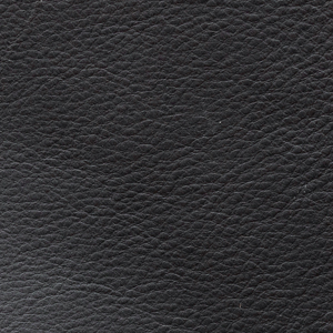 Anilina Glossy - AL 6910 Elephant