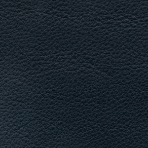 Aniline Glossy - AL 7010 Atlantico
