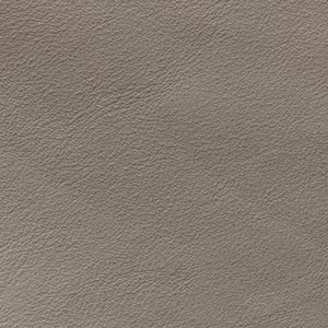 Anilina Glossy - AL 1C Avena