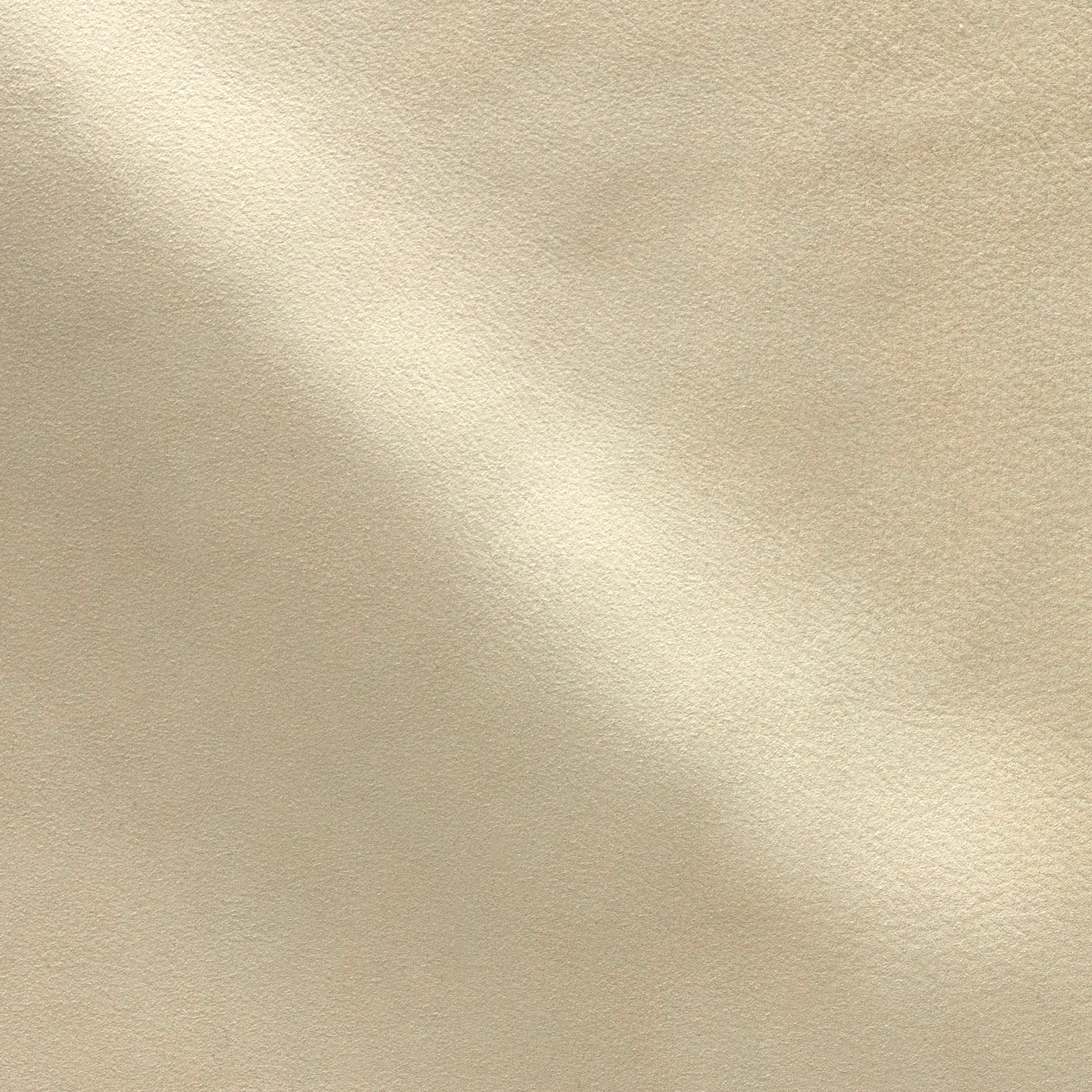 NP06