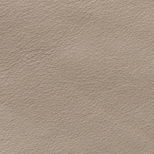Aniline Glossy - AL 102 Lino