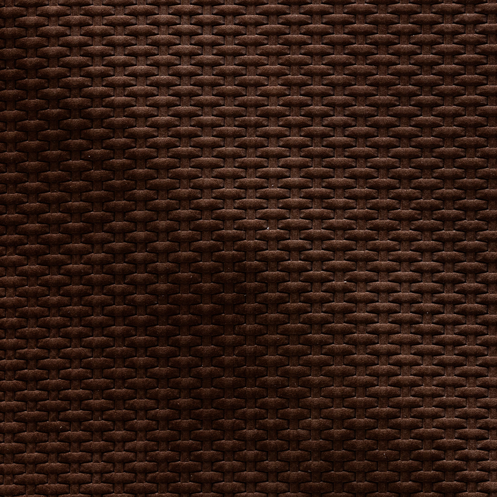 NT08