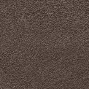 Anilina Glossy - AL 603 Terra