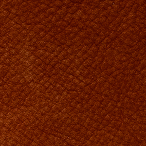 Nabuk - NP310