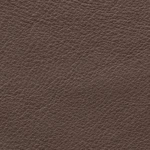 Aniline Glossy - AL 603 Terra