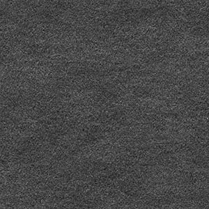 Alpaca - 1123