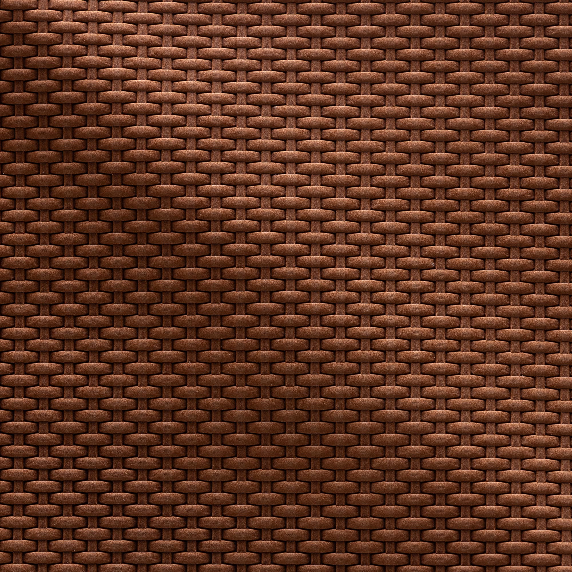 NT14