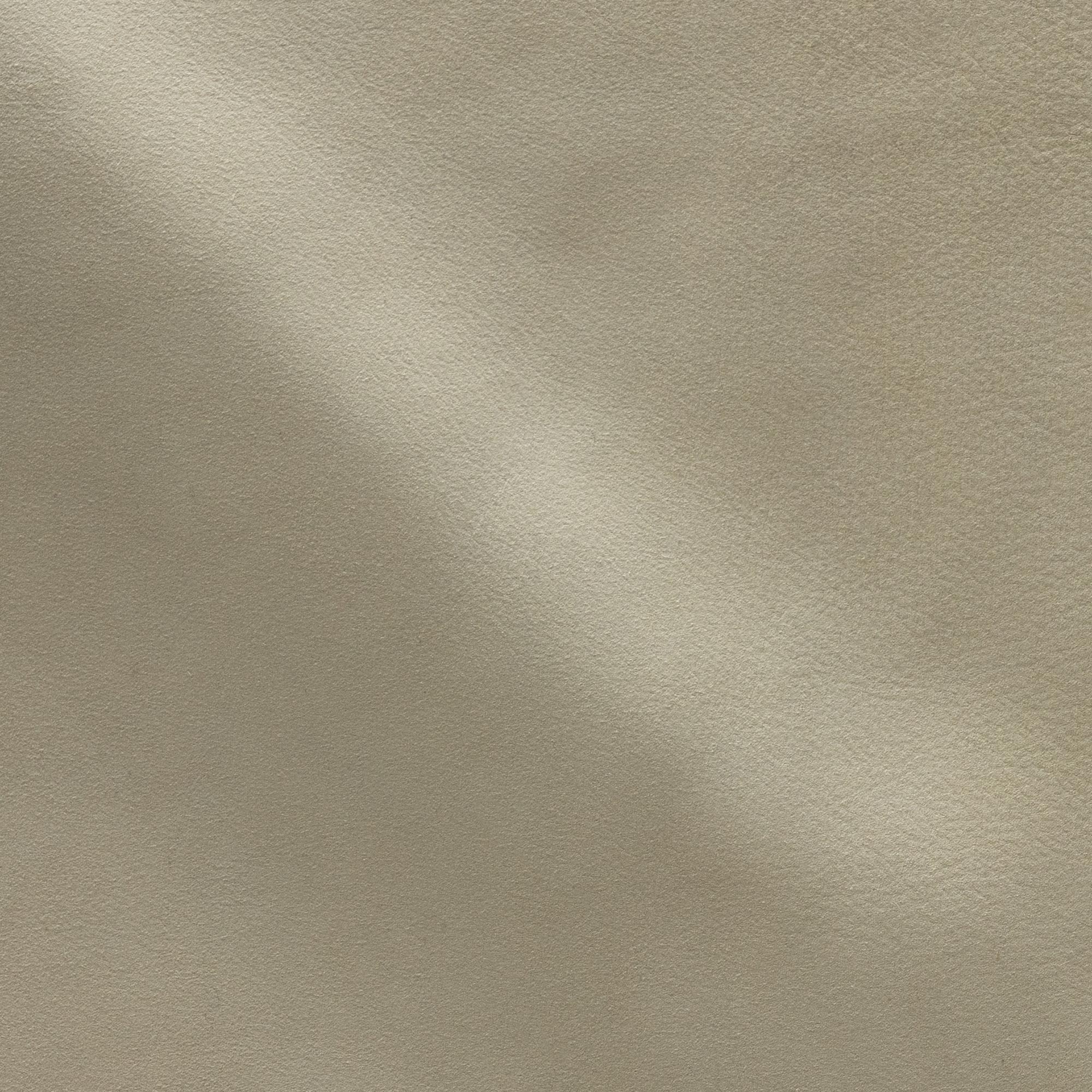 NP06