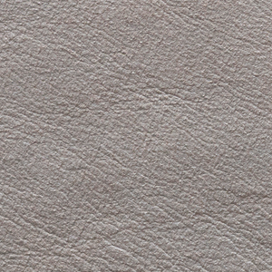 Anilina Cashmere - 24 Polvere