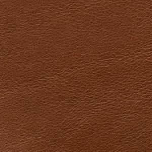Aniline Glossy - AL 309 Noce